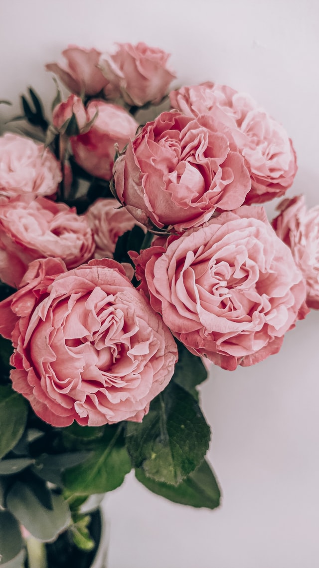 White Bouquets